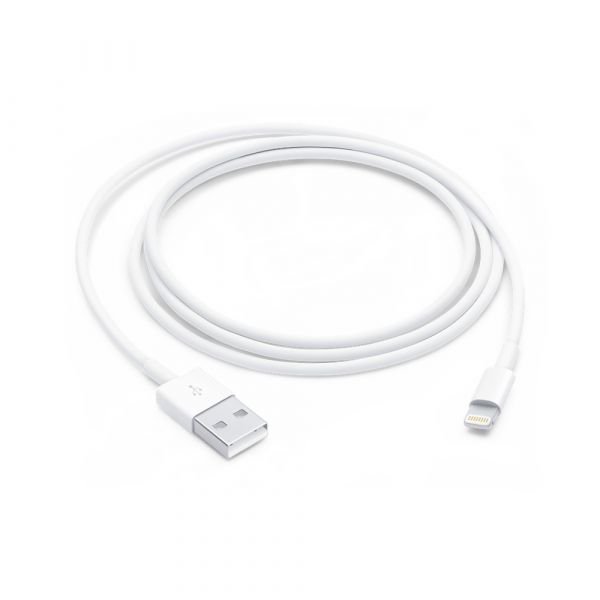 Apple Lightning 至 USB 連接線 (1 米)
